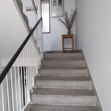 אוסילק Apartman Bloom מראה חיצוני תמונה
