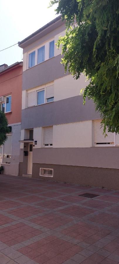 אוסילק Apartman Bloom מראה חיצוני תמונה